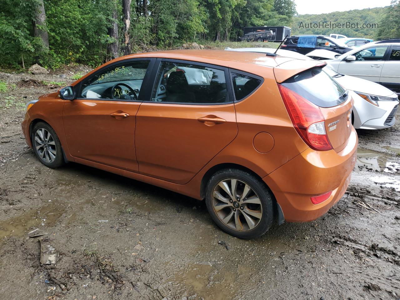 2015 Hyundai Accent Gls Orange vin: KMHCU5AE8FU200873