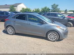 2017 Hyundai Elantra Gt   Gray vin: KMHD35LH7HU369932