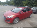 2017 Hyundai Elantra Gt   Красный vin: KMHD35LH8HU348488