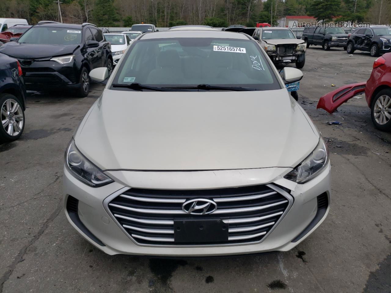 2017 Hyundai Elantra Se Gold vin: KMHD74LF0HU377237