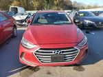 2017 Hyundai Elantra Se Красный vin: KMHD74LF7HU399154