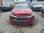 2019 Hyundai Elantra Sel Красный vin: KMHD84LF1KU865990