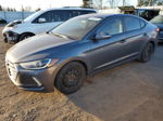 2017 Hyundai Elantra Se Gray vin: KMHD84LF8HU134482