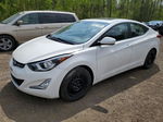 2016 Hyundai Elantra Se White vin: KMHDH4AE1GU494802