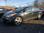 2011 Hyundai Elantra Gls Black vin: KMHDH4AE3BU113539