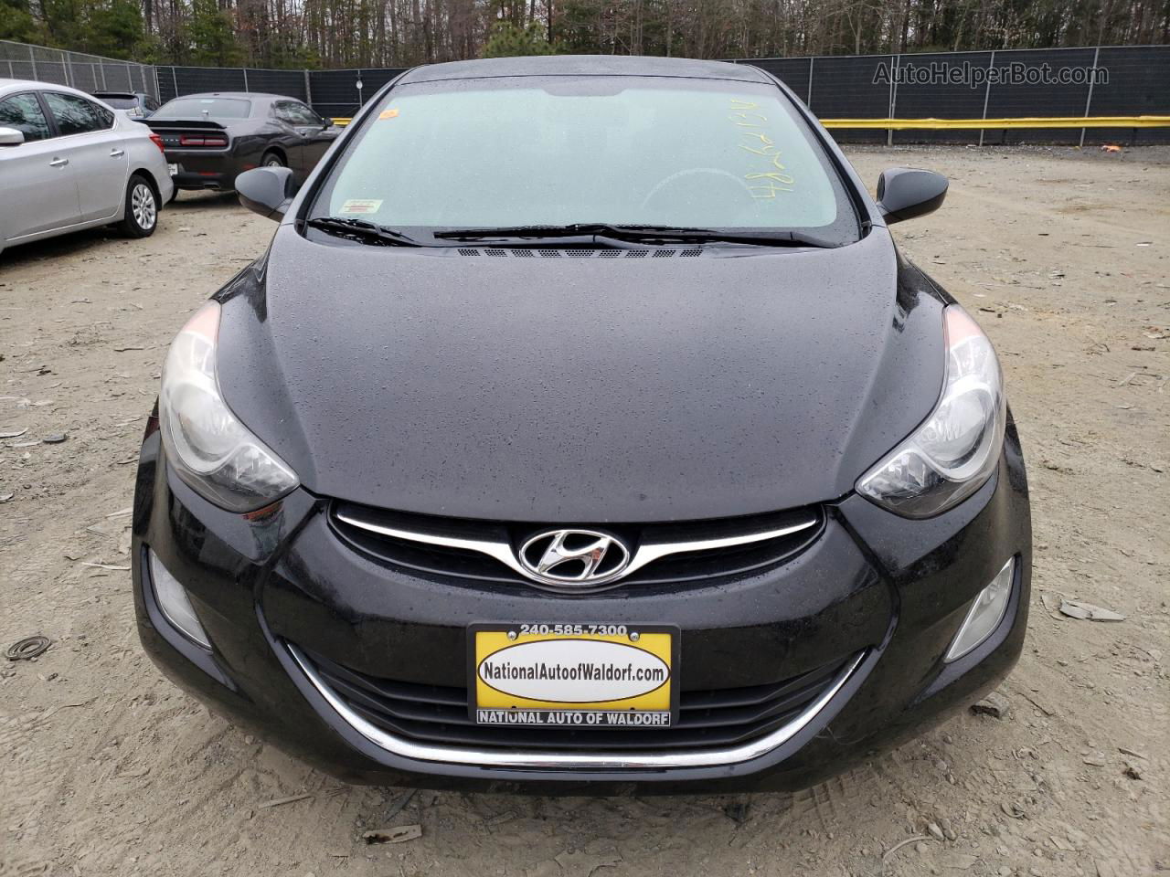 2013 Hyundai Elantra Gls Black vin: KMHDH4AE6DU815695