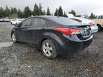 2011 Hyundai Elantra Gls Black vin: KMHDH4AEXBU103106