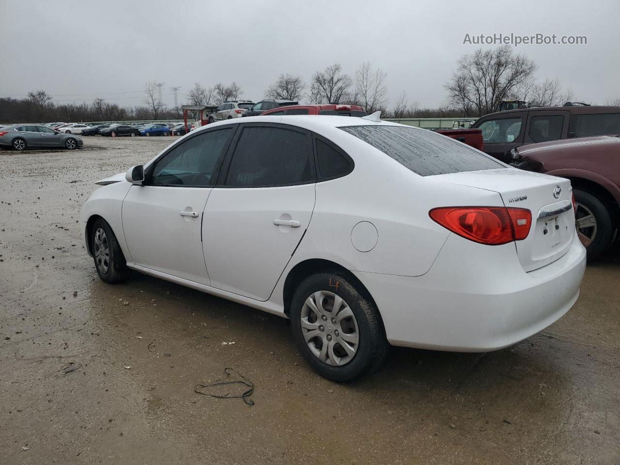 2010 Hyundai Elantra Blue Белый vin: KMHDU4AD1AU073463