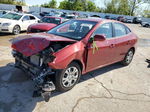 2010 Hyundai Elantra Blue Red vin: KMHDU4AD1AU885216