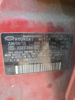 2010 Hyundai Elantra Blue Red vin: KMHDU4AD7AU114078