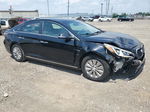 2017 Hyundai Sonata Hybrid Черный vin: KMHE24L32HA061087