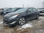 2012 Hyundai Sonata Hybrid Black vin: KMHEC4A40CA019681