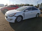 2012 Hyundai Sonata Hybrid White vin: KMHEC4A42CA022064