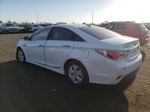 2012 Hyundai Sonata Hybrid Белый vin: KMHEC4A42CA022064