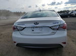 2013 Hyundai Sonata Hybrid White vin: KMHEC4A44DA075981