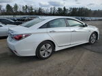 2013 Hyundai Sonata Hybrid White vin: KMHEC4A44DA075981