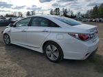 2013 Hyundai Sonata Hybrid White vin: KMHEC4A44DA075981