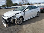 2013 Hyundai Sonata Hybrid White vin: KMHEC4A44DA075981