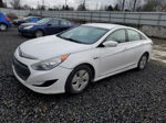 2012 Hyundai Sonata Hybrid White vin: KMHEC4A45CA035424