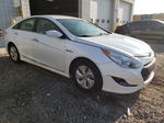 2013 Hyundai Sonata Hybrid White vin: KMHEC4A45DA086620