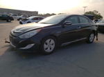 2012 Hyundai Sonata Hybrid Black vin: KMHEC4A48CA037670