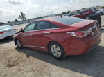 2012 Hyundai Sonata Hybrid Red vin: KMHEC4A48CA044344