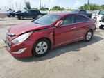 2012 Hyundai Sonata Hybrid Red vin: KMHEC4A48CA044344