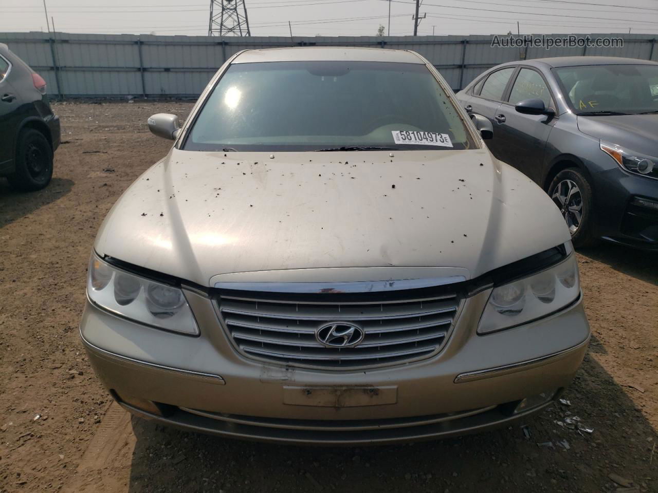 2008 Hyundai Azera Se Beige vin: KMHFC46F28A321012