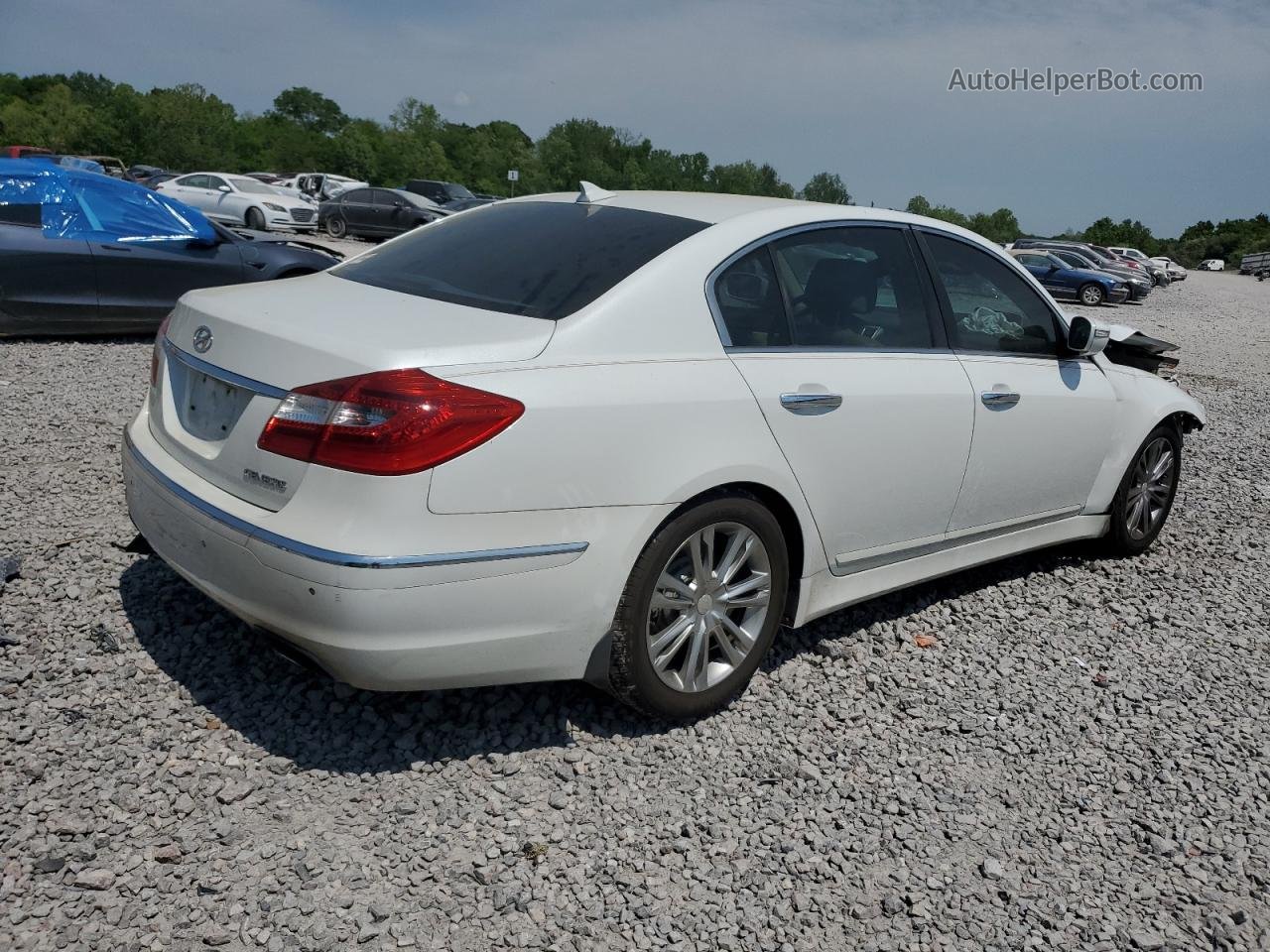 2013 Hyundai Genesis 3.8l Белый vin: KMHGC4DD1DU247564