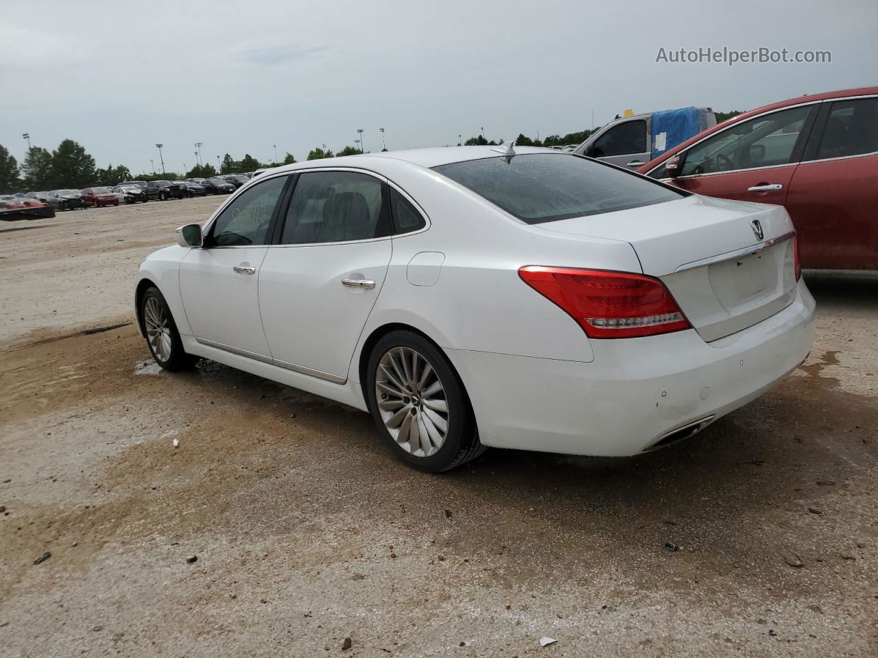 2014 Hyundai Equus Signature White vin: KMHGH4JH1EU076194