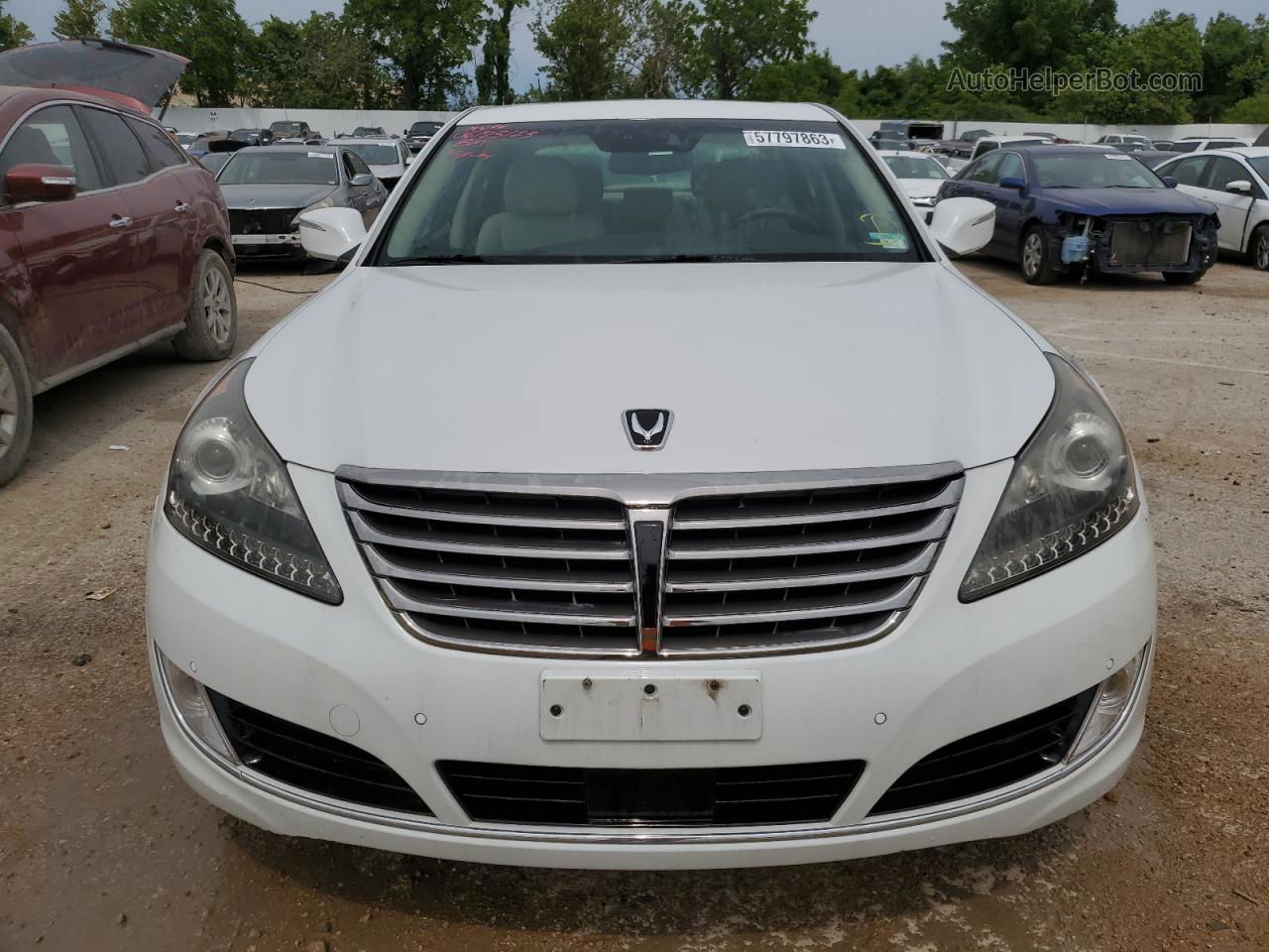 2014 Hyundai Equus Signature Белый vin: KMHGH4JH1EU076194