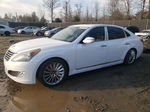 2014 Hyundai Equus Signature White vin: KMHGH4JH7EU085952