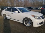 2014 Hyundai Equus Signature White vin: KMHGH4JH7EU085952