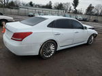 2014 Hyundai Equus Signature Белый vin: KMHGH4JH9EU085368