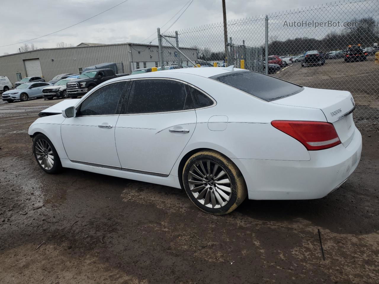 2014 Hyundai Equus Signature White vin: KMHGH4JH9EU085368