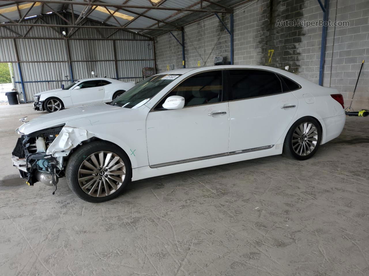 2014 Hyundai Equus Signature White vin: KMHGH4JHXEU080356