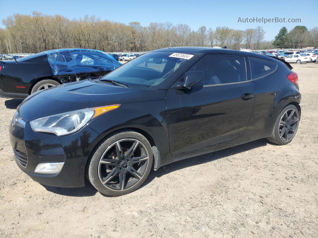 2013 Hyundai Veloster  White vin: KMHTC6AD0DU106919