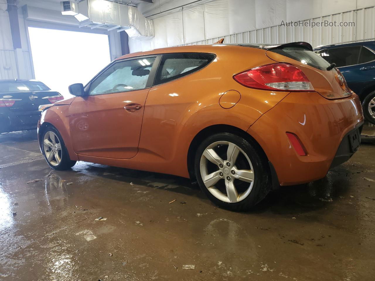 2013 Hyundai Veloster  Оранжевый vin: KMHTC6AD0DU145767