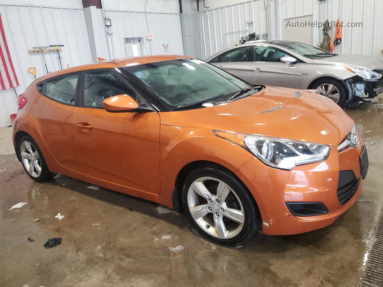 2013 Hyundai Veloster  Оранжевый vin: KMHTC6AD0DU145767