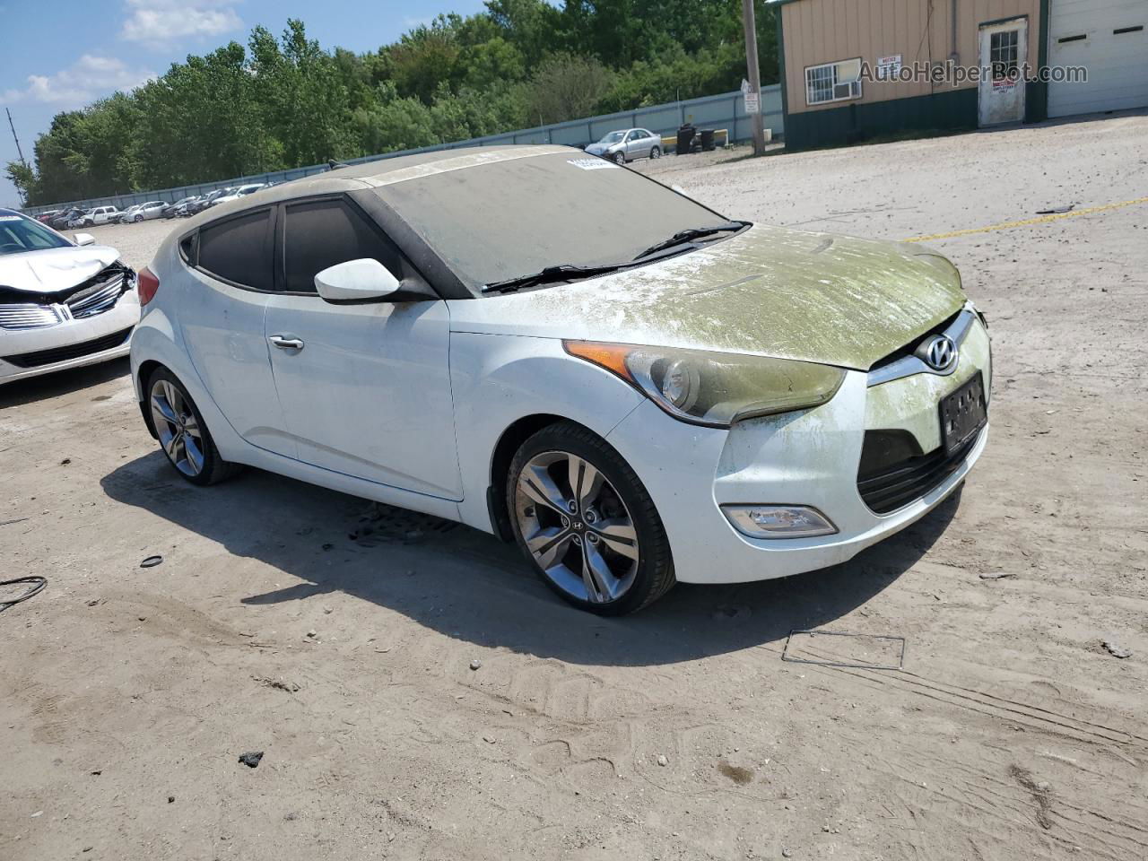 2013 Hyundai Veloster  Белый vin: KMHTC6AD1DU084655