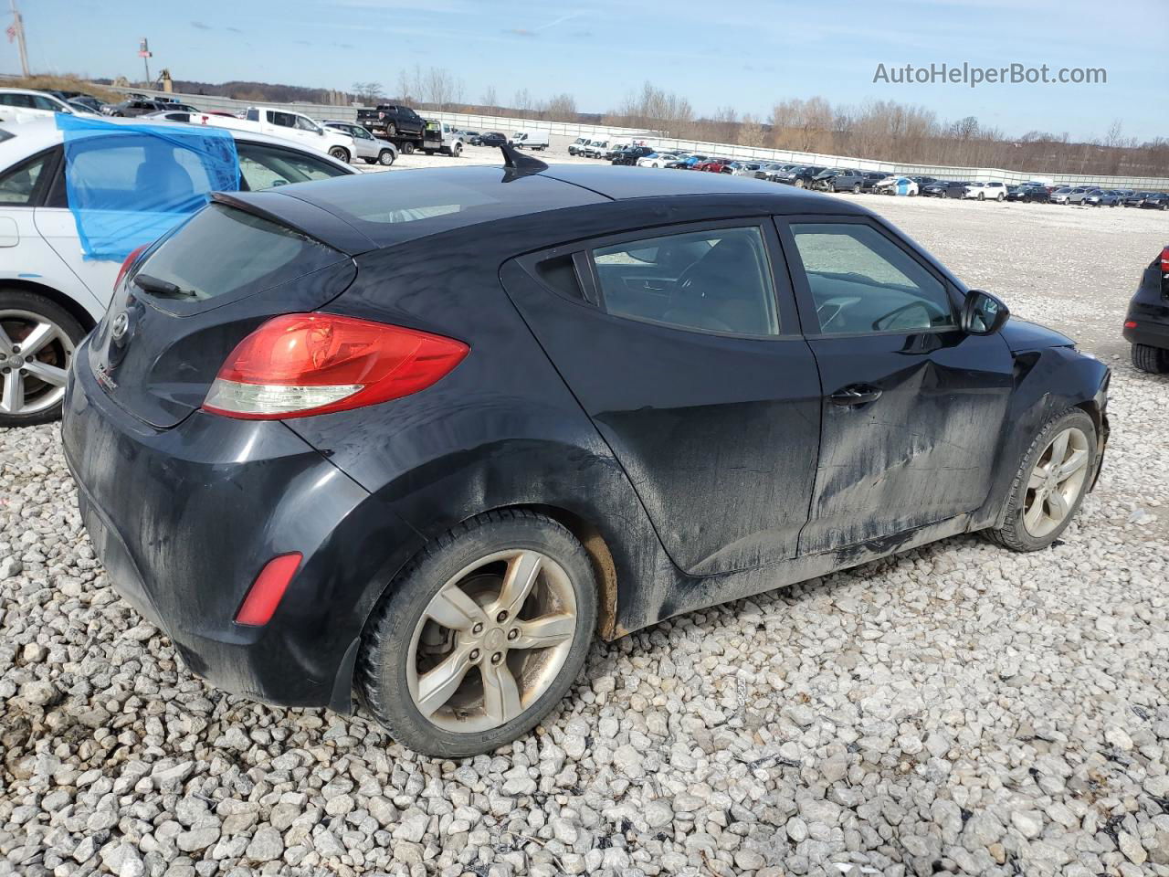 2013 Hyundai Veloster  Black vin: KMHTC6AD1DU131764