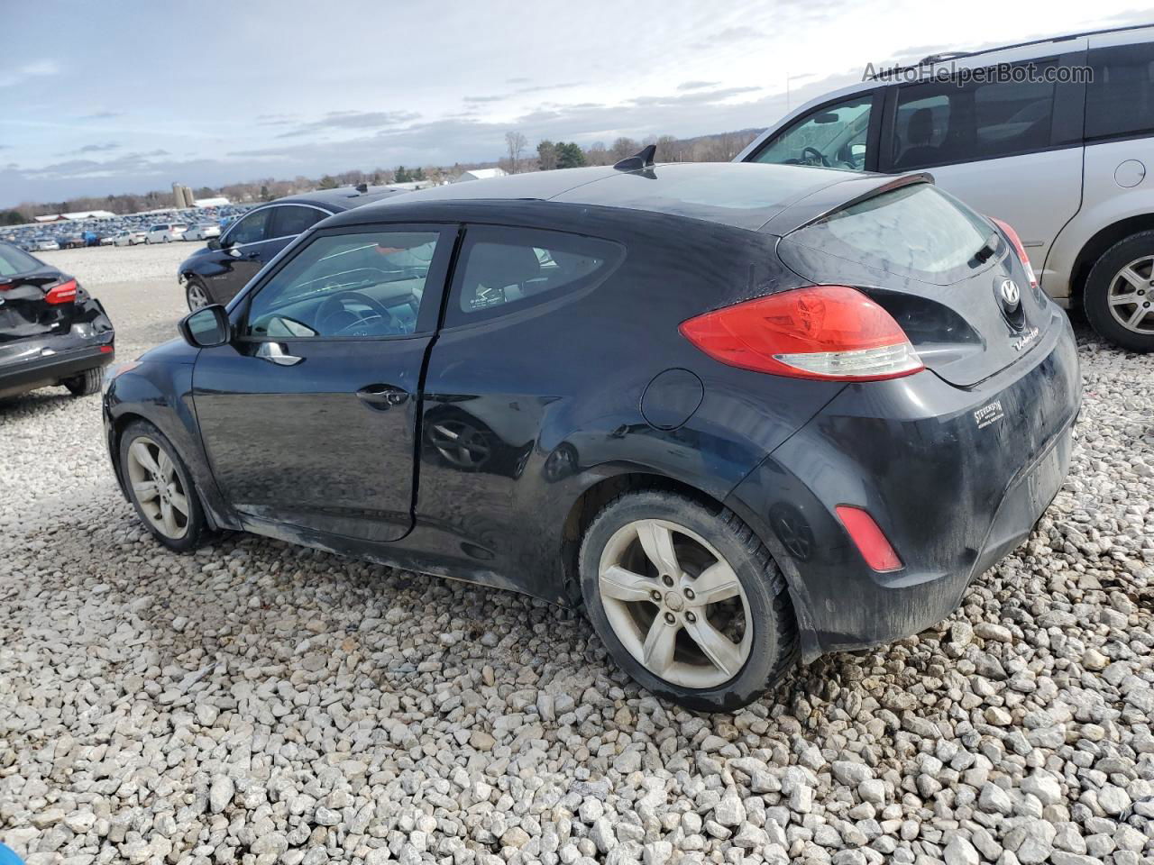 2013 Hyundai Veloster  Black vin: KMHTC6AD1DU131764