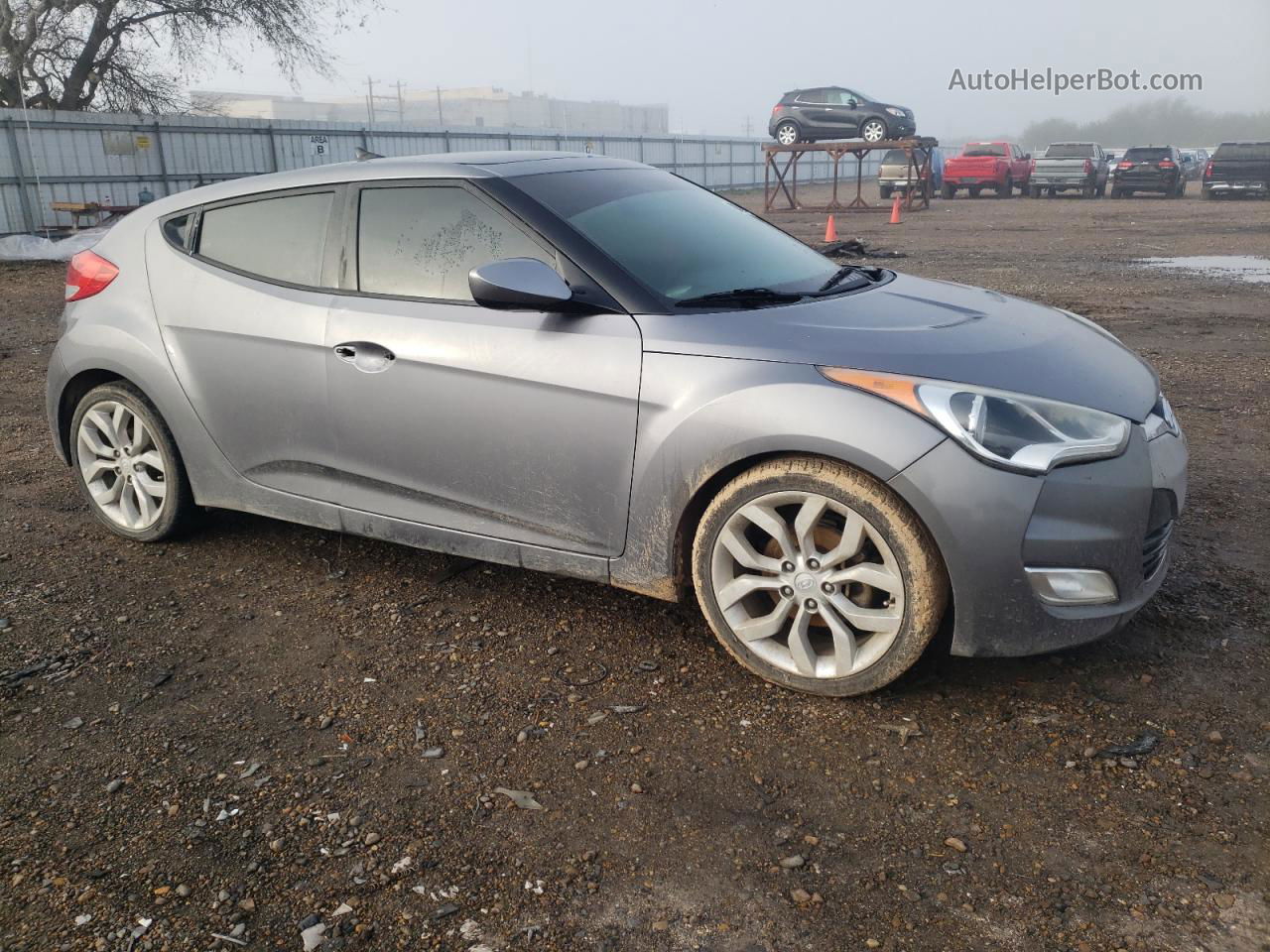 2013 Hyundai Veloster  Серый vin: KMHTC6AD1DU135409