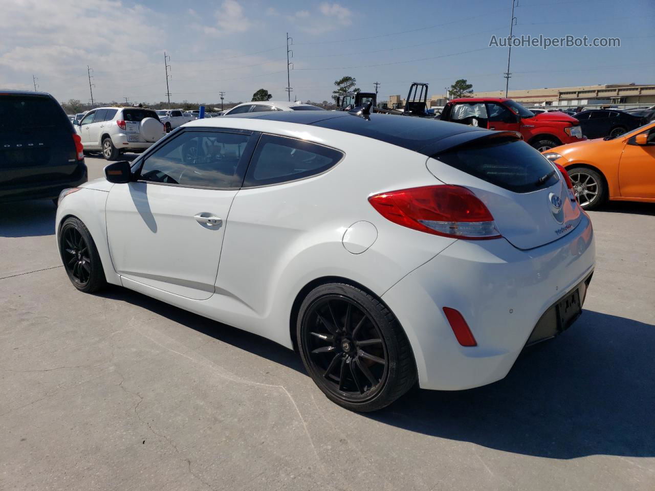 2013 Hyundai Veloster  Белый vin: KMHTC6AD1DU146149