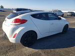 2013 Hyundai Veloster  Белый vin: KMHTC6AD1DU157491