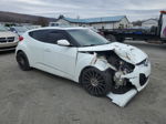 2013 Hyundai Veloster  Белый vin: KMHTC6AD3DU099089