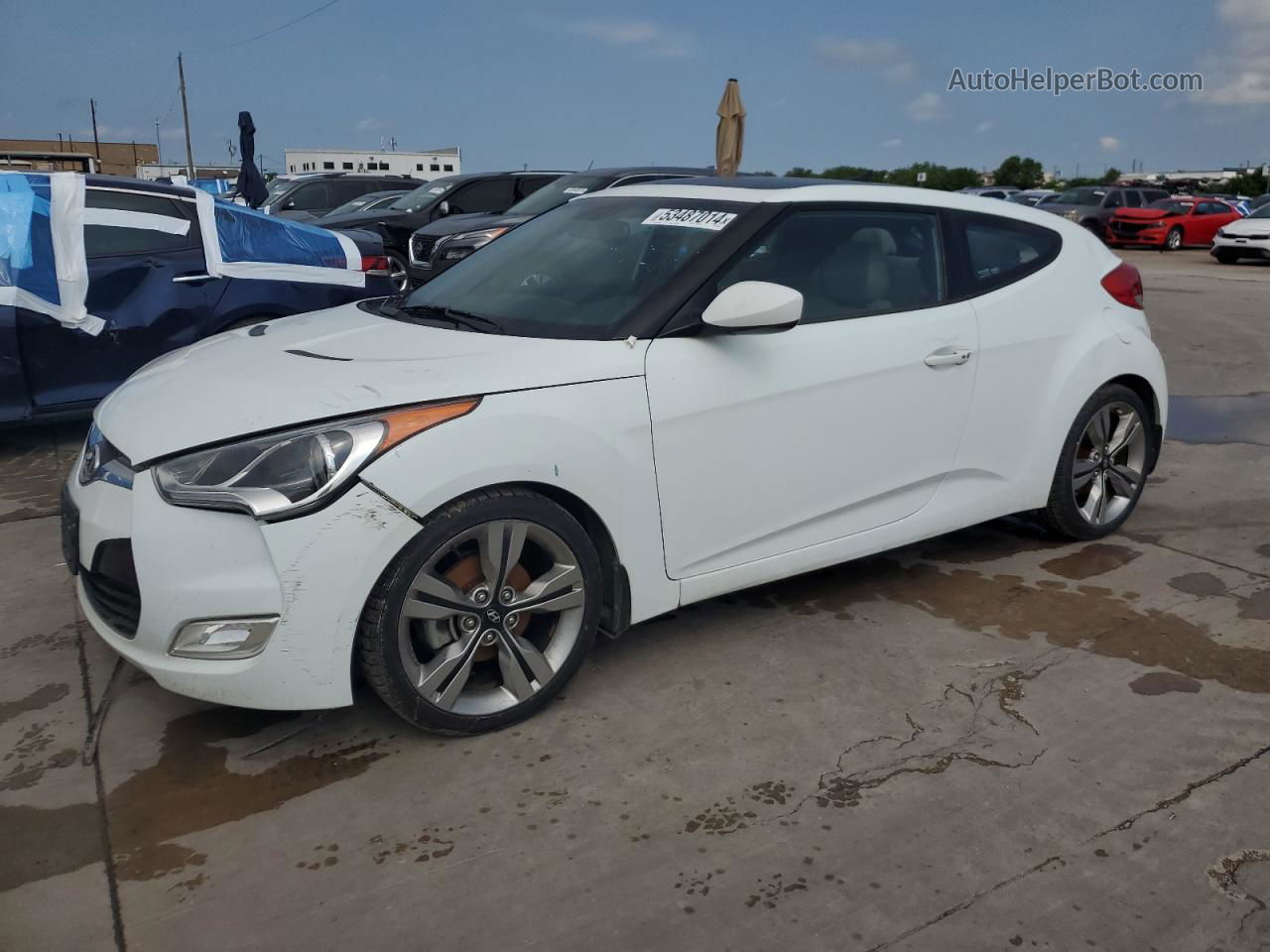 2013 Hyundai Veloster White vin: KMHTC6AD3DU103559