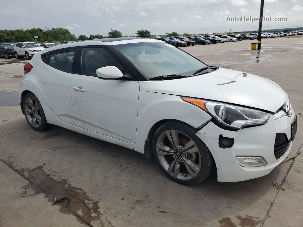 2013 Hyundai Veloster White vin: KMHTC6AD3DU103559