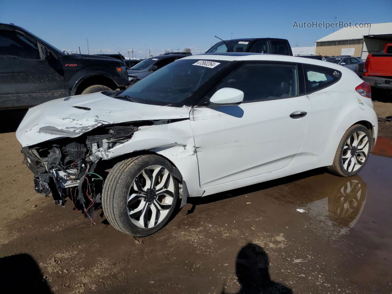 2013 Hyundai Veloster  White vin: KMHTC6AD3DU147559