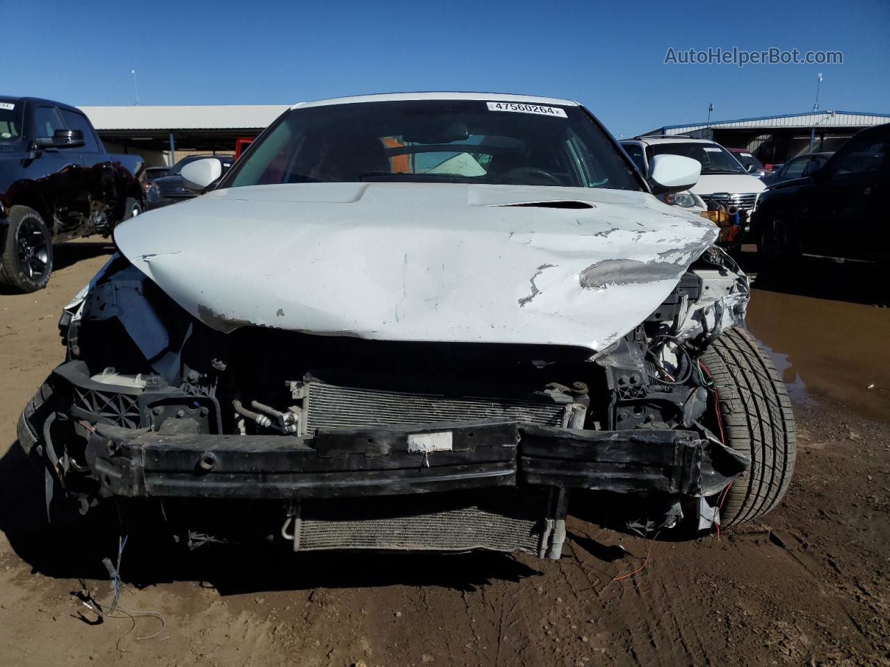 2013 Hyundai Veloster  White vin: KMHTC6AD3DU147559